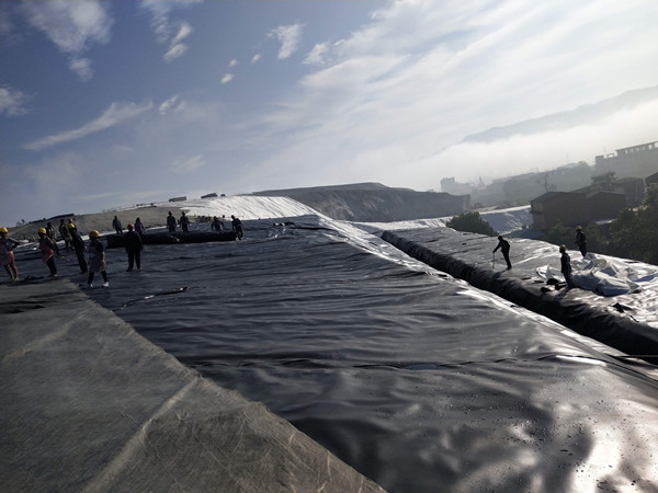 案例展示-图片4