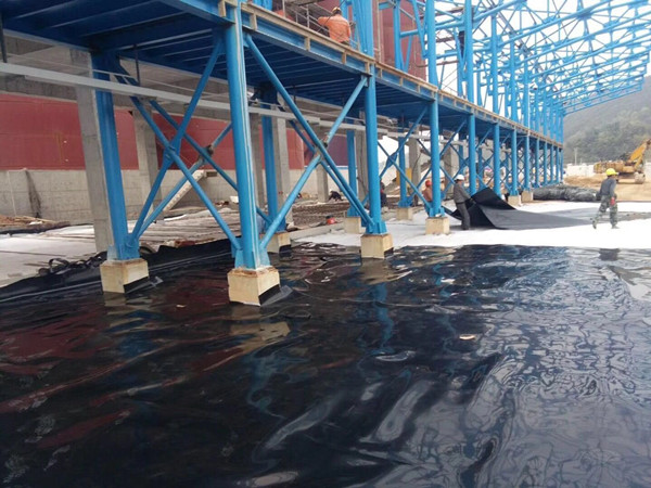 案例展示-图片2