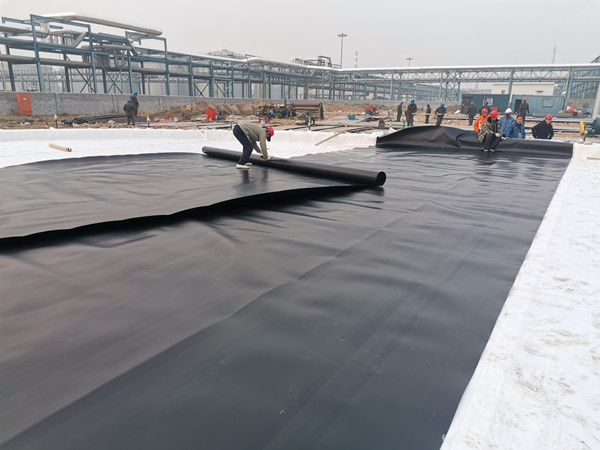 案例展示-图片1