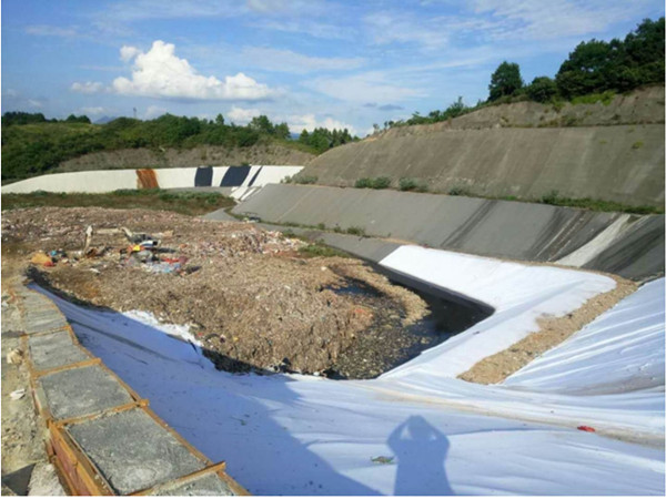 案例展示-图片2