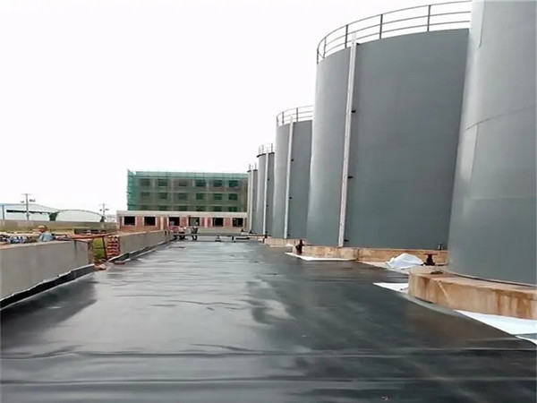 案例展示-图片1