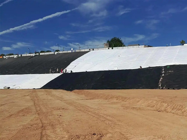 案例展示-图片3