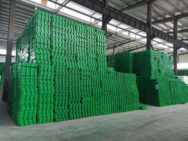 停车场植草格种什么草